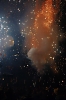 balldefoc2010_0815_web.jpg
