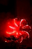 balldefoc2010_0845_web.jpg