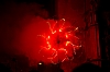 balldefoc2010_0847_web.jpg