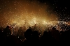 balldefoc2010_0899_web.jpg