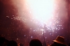 balldefoc2010_0925_web.jpg
